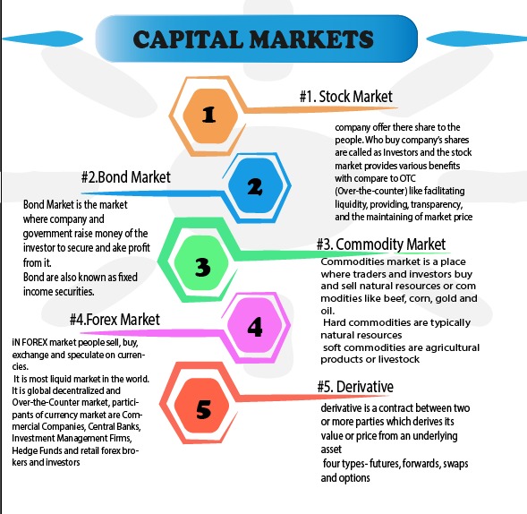 Infographic for Capital Markets